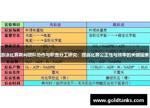 游泳比赛裁判团队协作与职责分工研究：提高比赛公正性与效率的关键因素